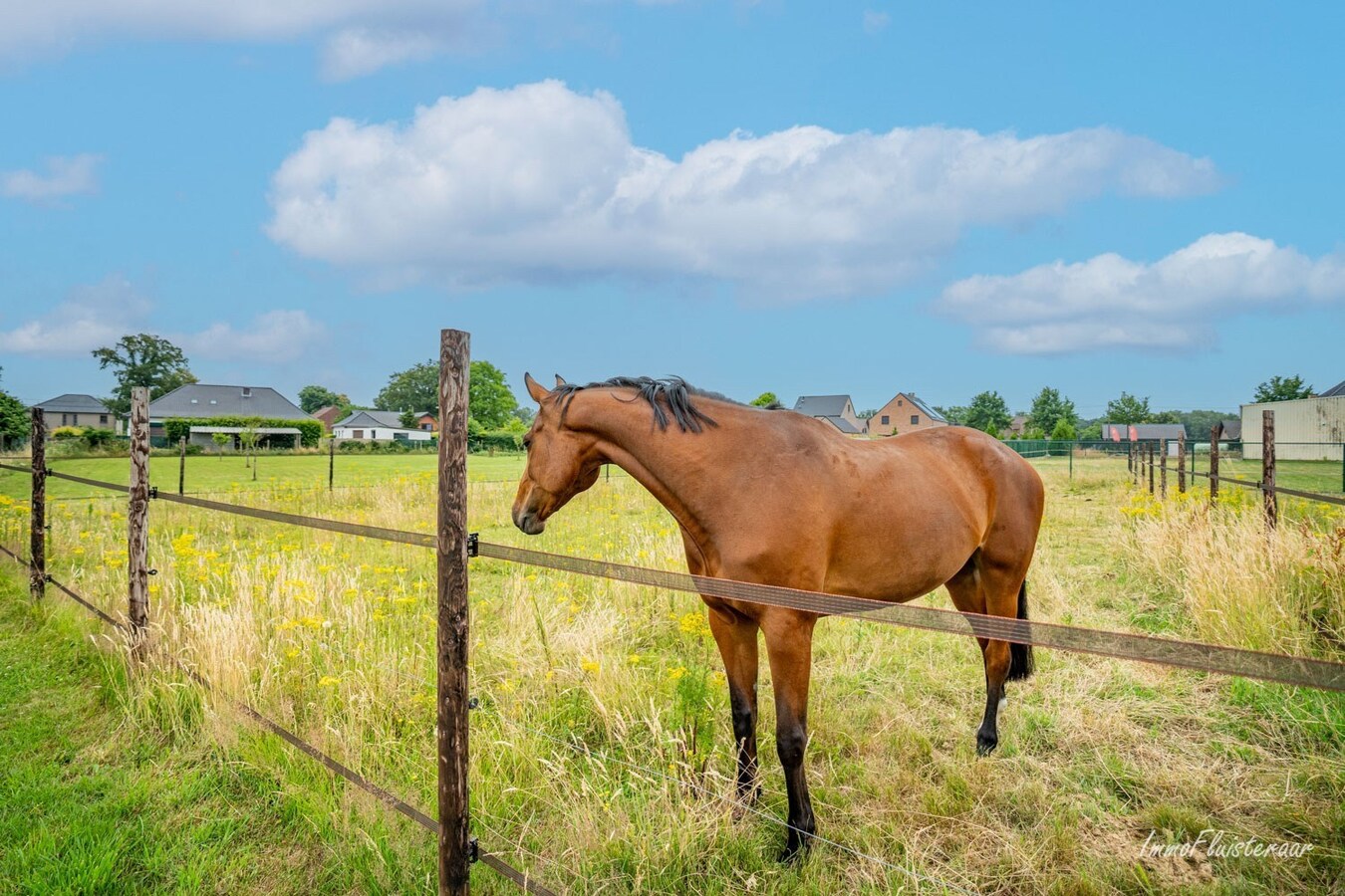 Renovated house with stables on approximately 1.1 hectares in Peer. 