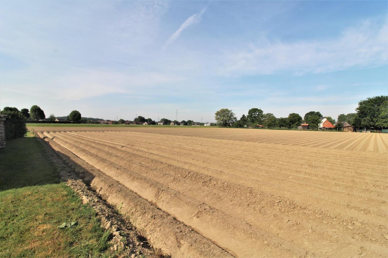 IN OPTIE - Charmante te renoveren boerderij met weiland op ca. 2,63ha te Merchtem en Londerzeel (Vlaams-Brabant) 