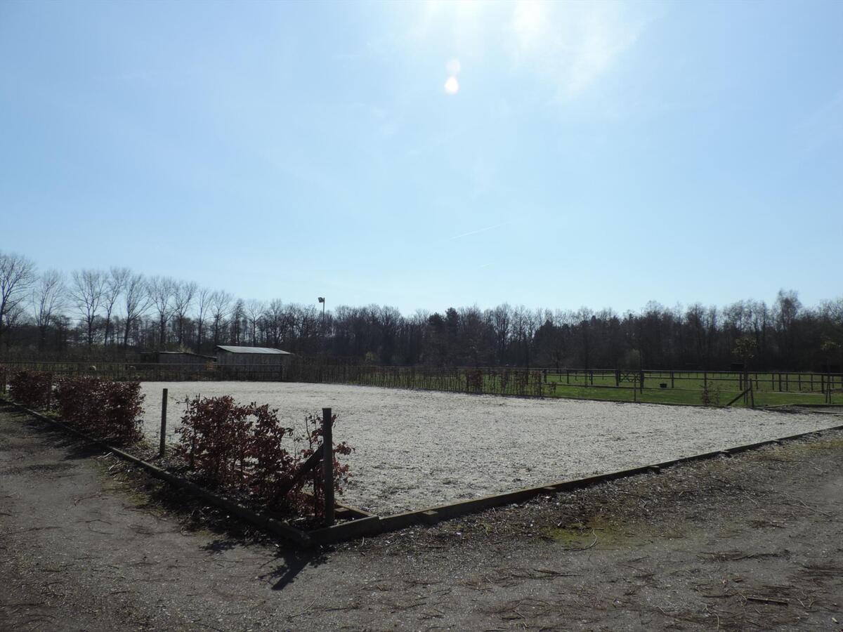 Prachtige gezinswoning met paardenstallen en buitenpiste op ca. 2,61ha te Lummen 