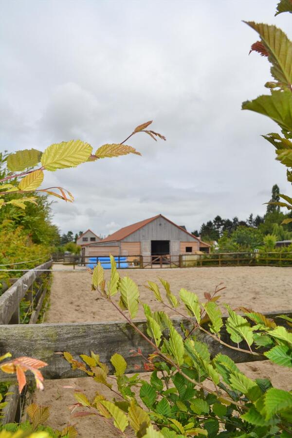 Charmante &#233;&#233;ngezinswoning met stallen en buitenpiste op ca. 5340M&#178; te Maldegem 