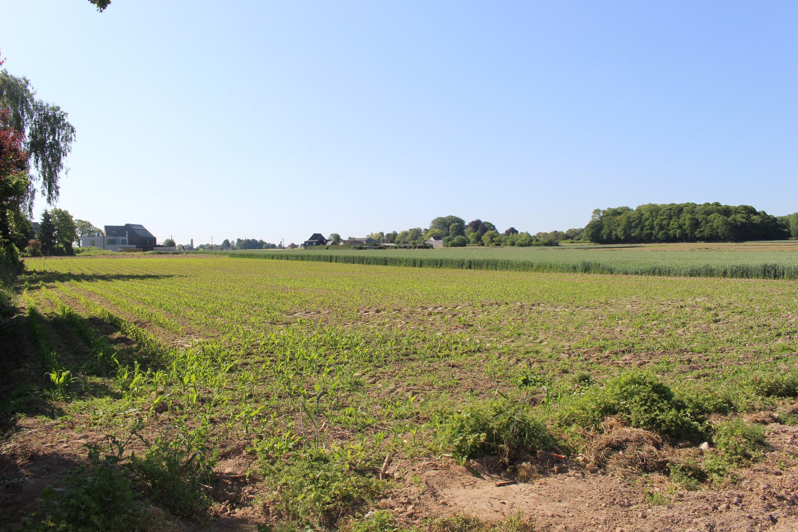 Uniek perceel bouwgrond voor halfopen bebouwing. 