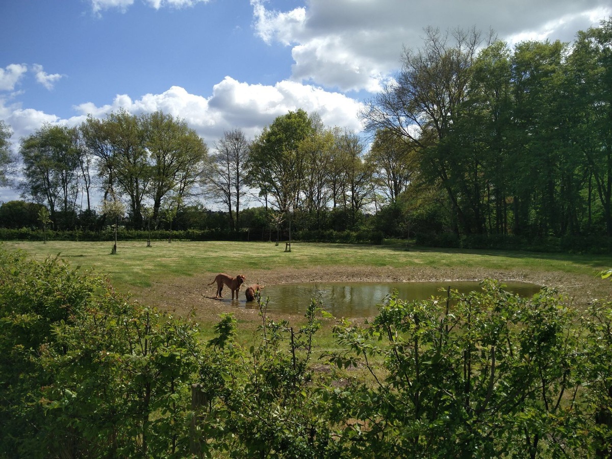 Verder af te werken hoeve op ca. 8832m2 te Geel 