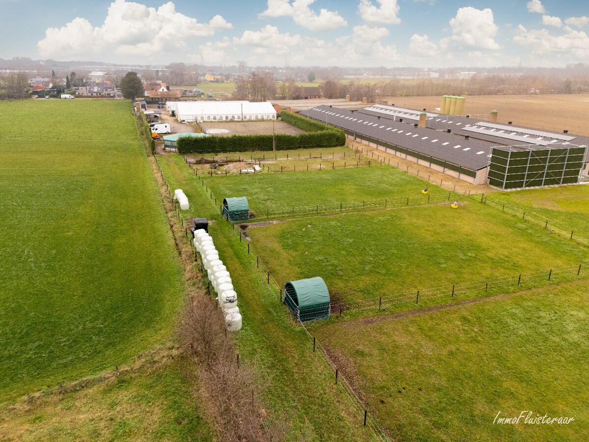 Hippisch complex op ca. 1,9 ha te Rijkevorsel Vergunning voor binnenpiste (60m x 30m) aanwezig! 