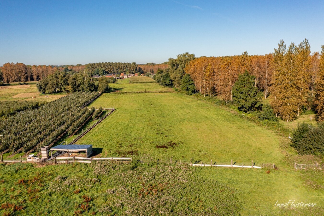 Paardenaccommodatie met binnenpiste op ca. 6ha te Wellen 