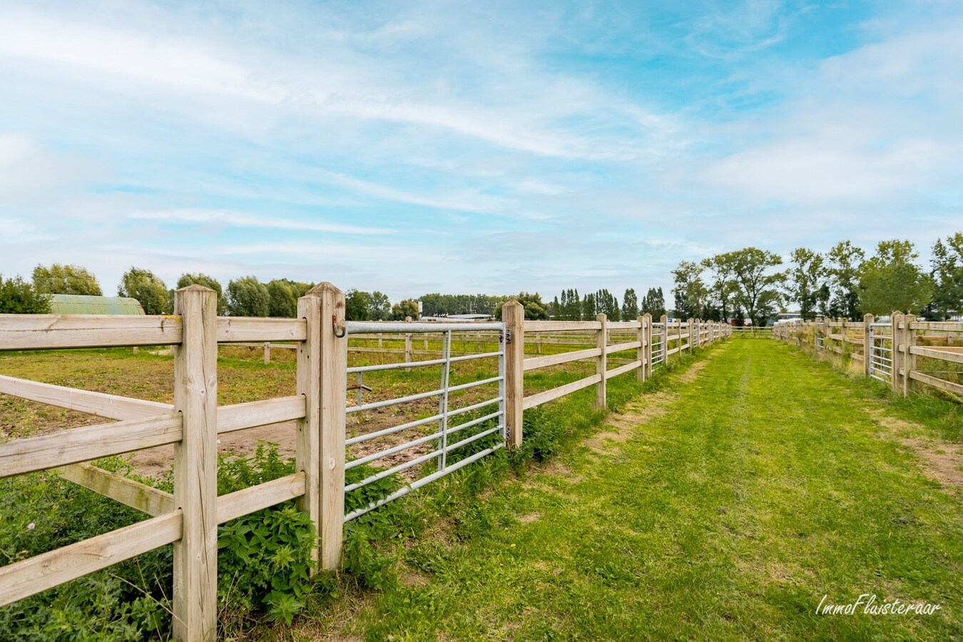 Hippisch complex op ca. 6ha te Beveren 