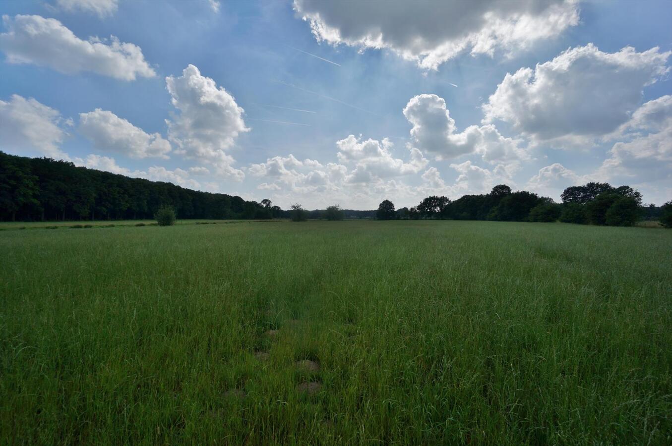 Te renoveren boerderij op unieke locatie op ca. 10ha te Diest 