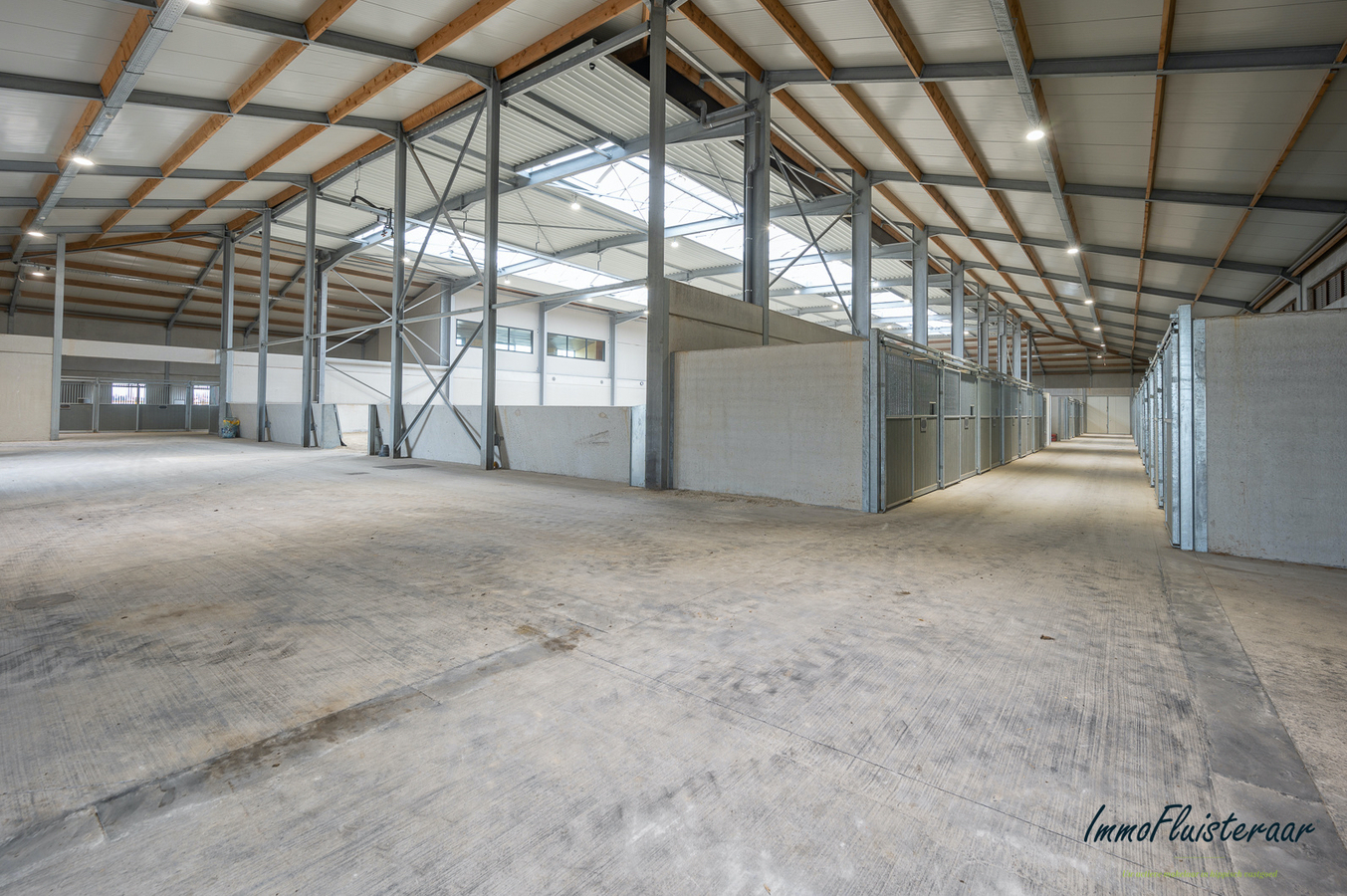 Nieuwbouw hippisch centrum met casco villa te West-Vlaanderen. 