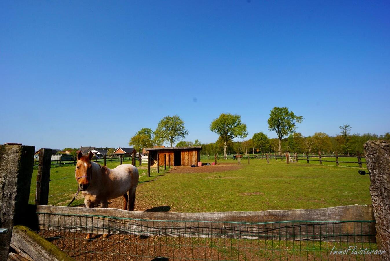 Instapklare woning met paardenstallen en weides te Heppen op ca. 2 ha 