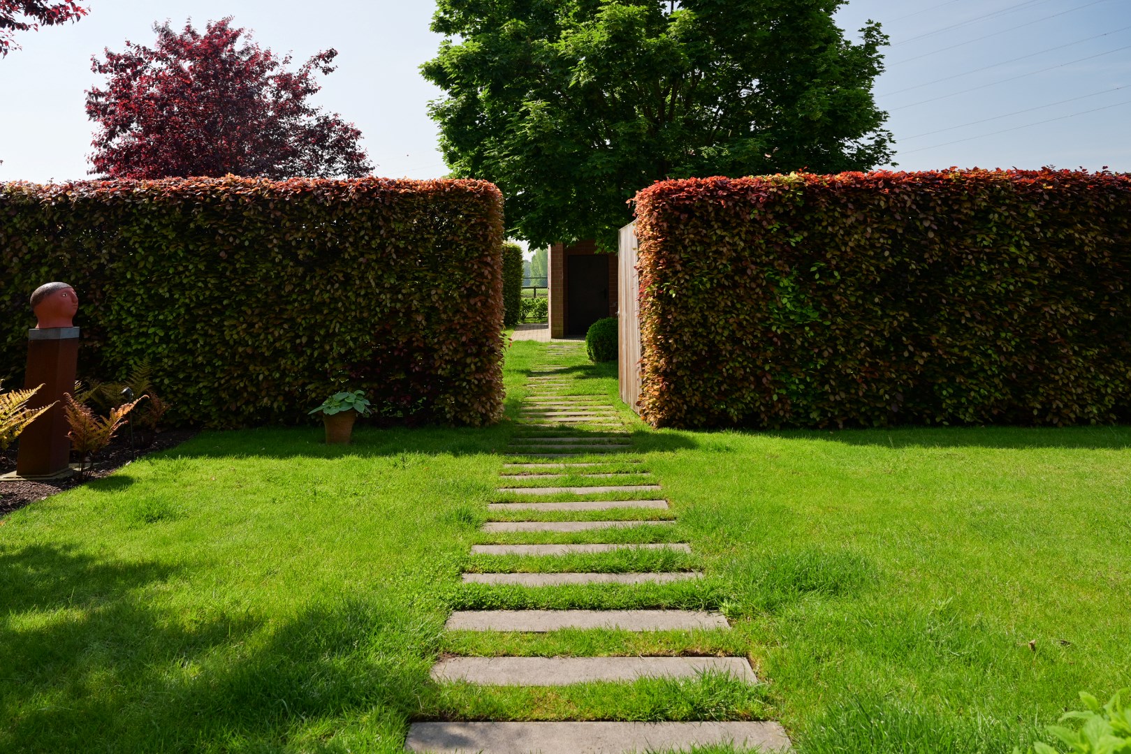 Zuidwest gerichte  tuin 