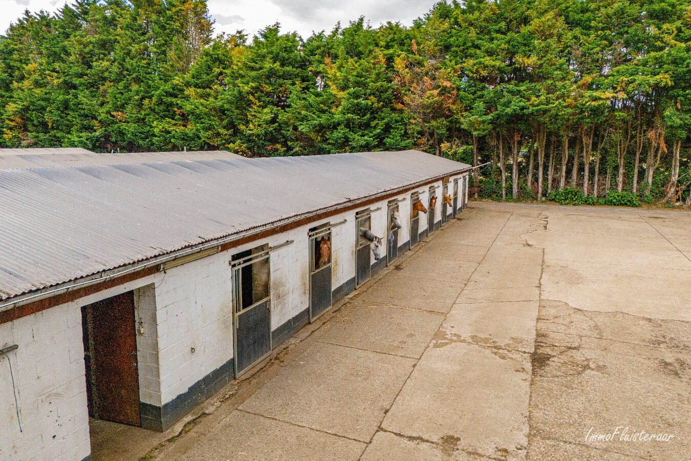 Paardenaccommodatie met 46 stallen, buitenpiste en hangaar op ca. 55 are te Linkhout (Lummen) 