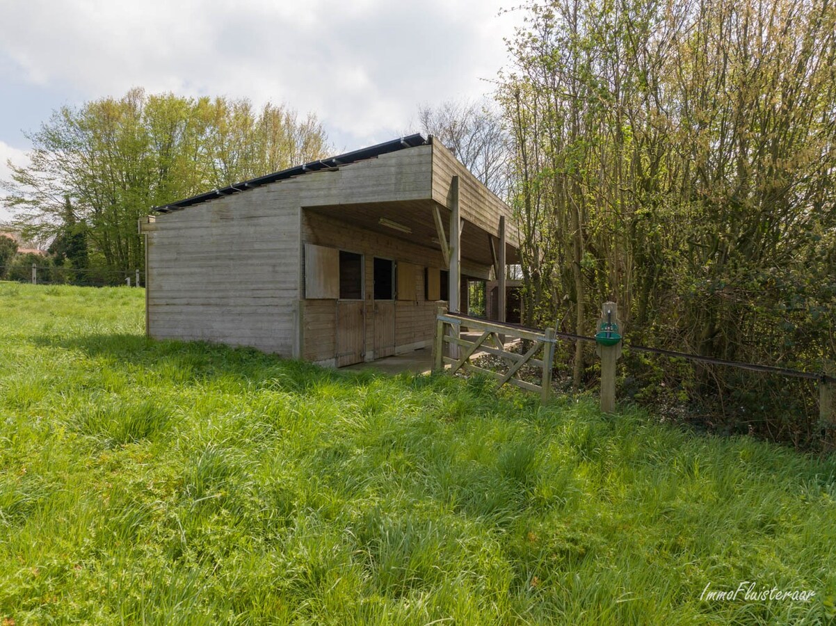 Exclusieve en energiezuinige villa met paardenstallen op ca. 45a te Merchtem (Brussegem; Vlaams-Brabant) 