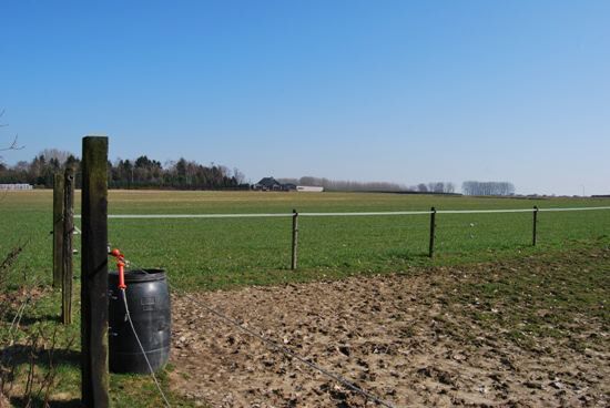 Villa met stalgebouw en weide op  ca, 1ha 