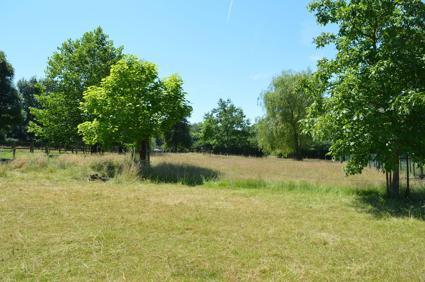 Mooie gezinswoning met stalgebouw en piste op ca. 5400m&#178; te Dworp 