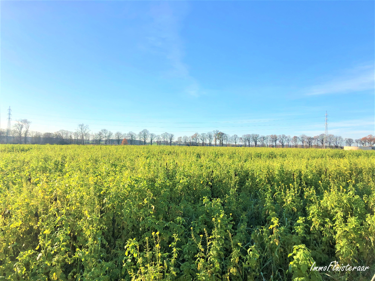 Boerderij met stalgebouwen en weilanden op ca. 1,17ha met uitbreidingsmogelijkheden van 5ha te Bree 