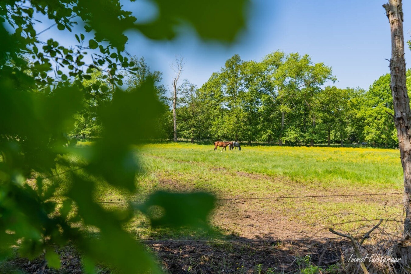 Hoeve op een uitzonderlijke locatie op ca. 5ha te Ham 