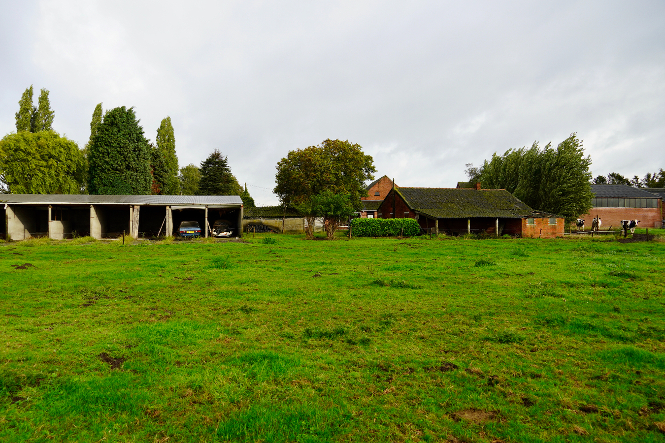 Te renoveren woning met bijgebouwen en weiland op ca. 91a te Hoogstraten 