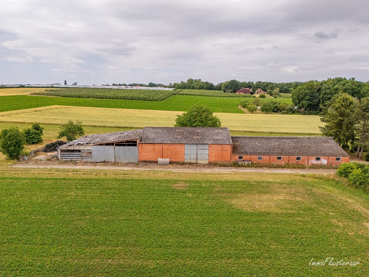Maison situ&#233;e &#224; la campagne avec d&#233;pendances sur environ 4 hectares &#224; Bekkevoort (Brabant flamand) 
