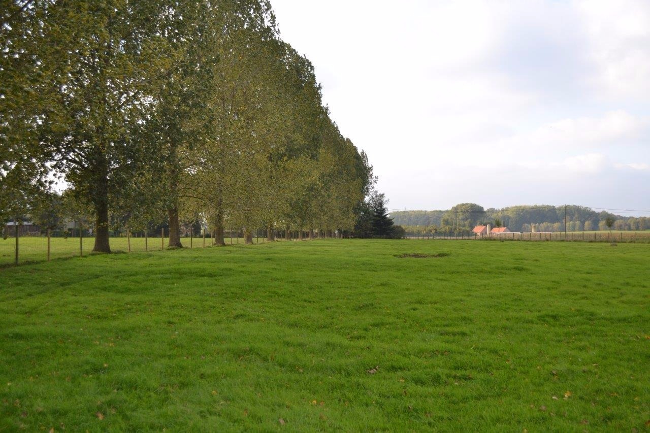 Leuke &#233;&#233;ngezinswoning op ca. 2,32ha te Geluveld (Zonnebeke) 