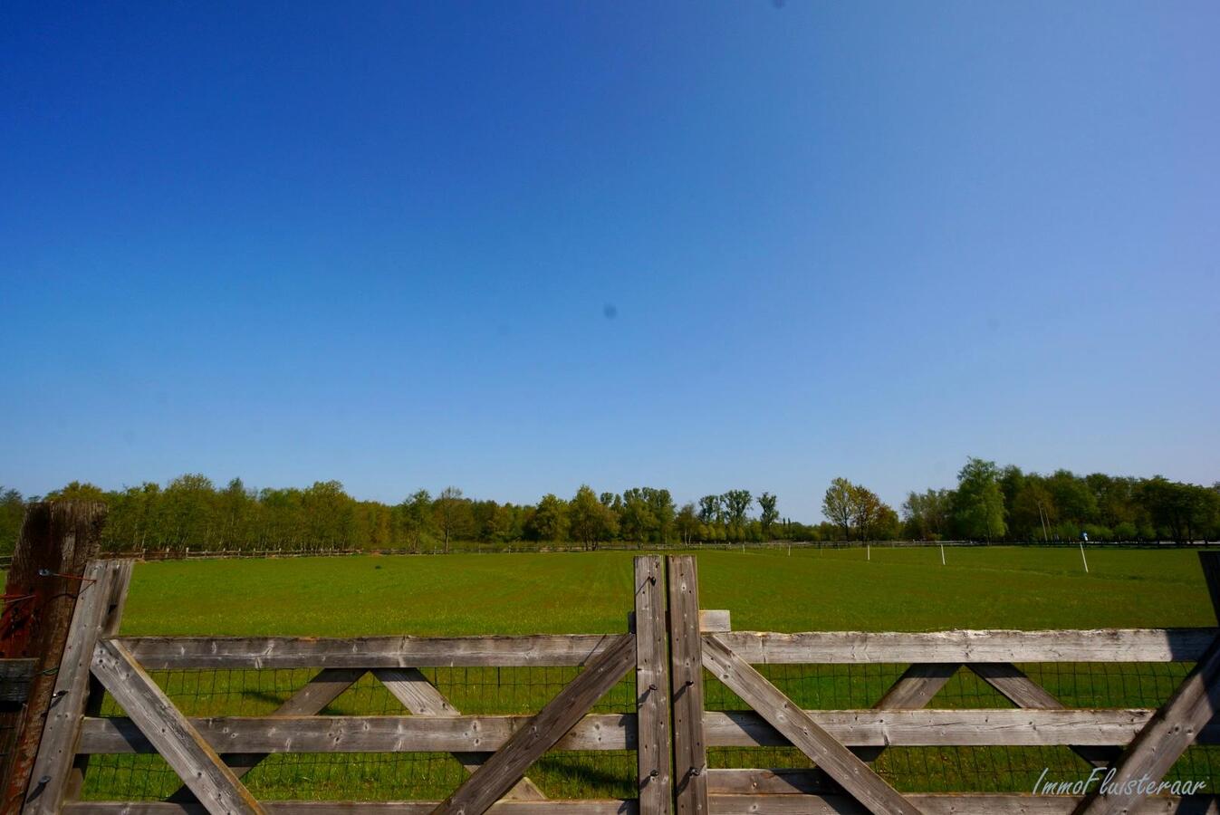 Instapklare woning met paardenstallen en weides te Heppen op ca. 2 ha 