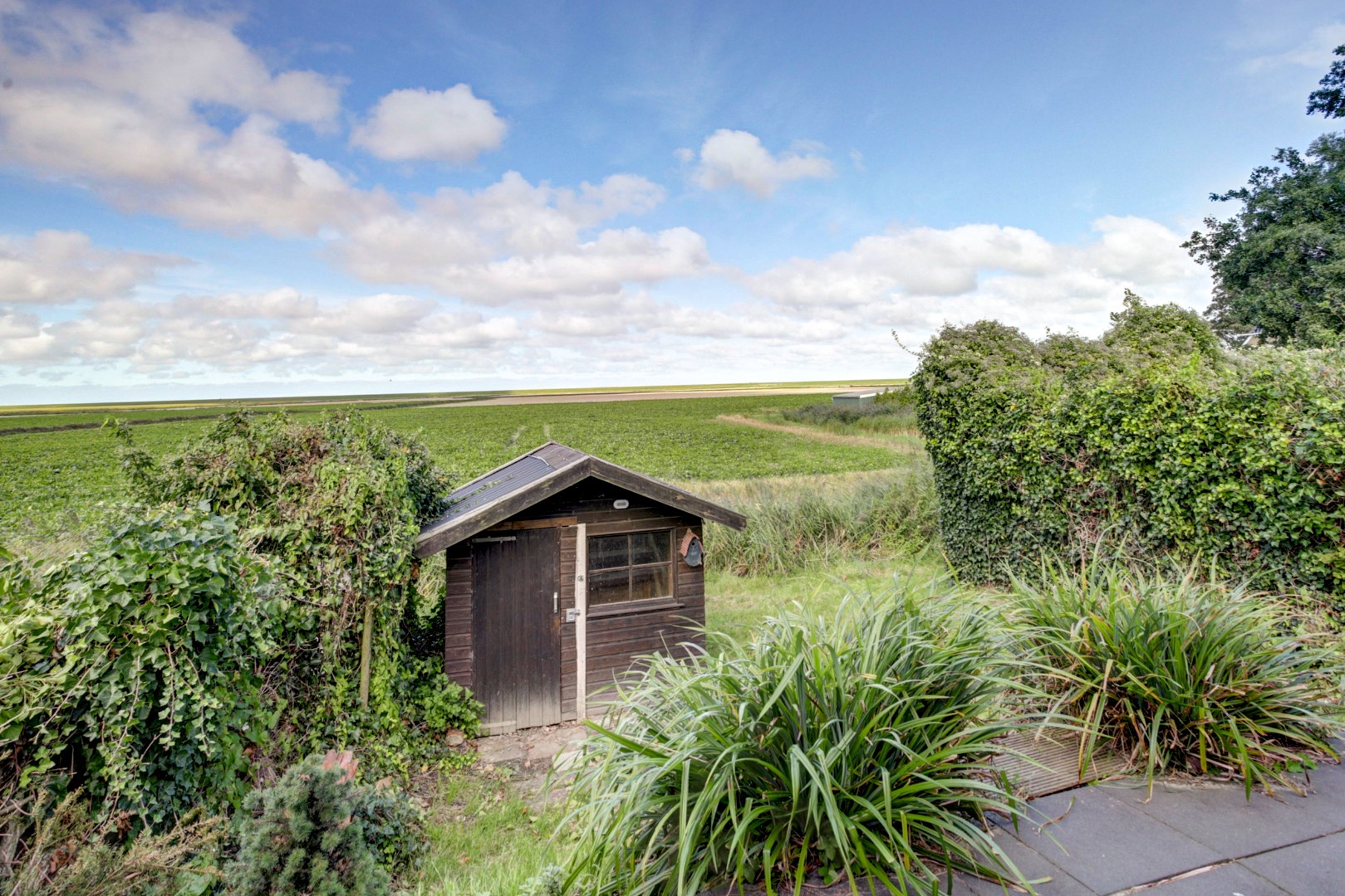 Landelijk wonen in een moderne, instapklare woning met uitzicht op de Friese Waddenzeedijk 