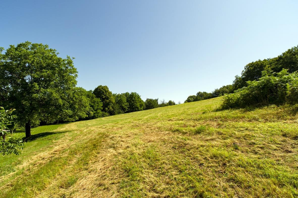 PARADIJS IN ZUID FRANKRIJK 