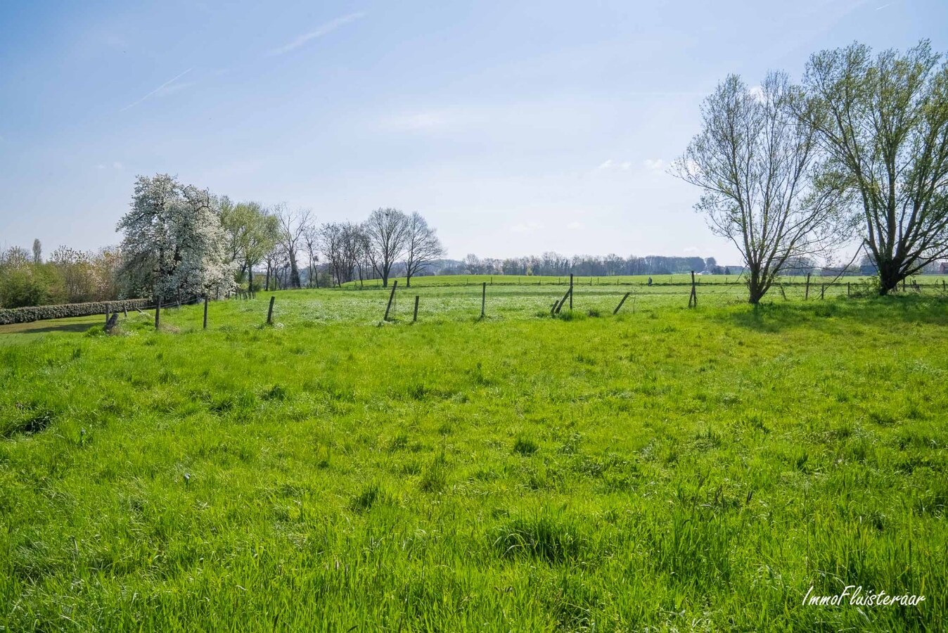 Renovatieproject pal in het groen op ca 56a te Tielt-Winge (Vlaams-Brabant) 