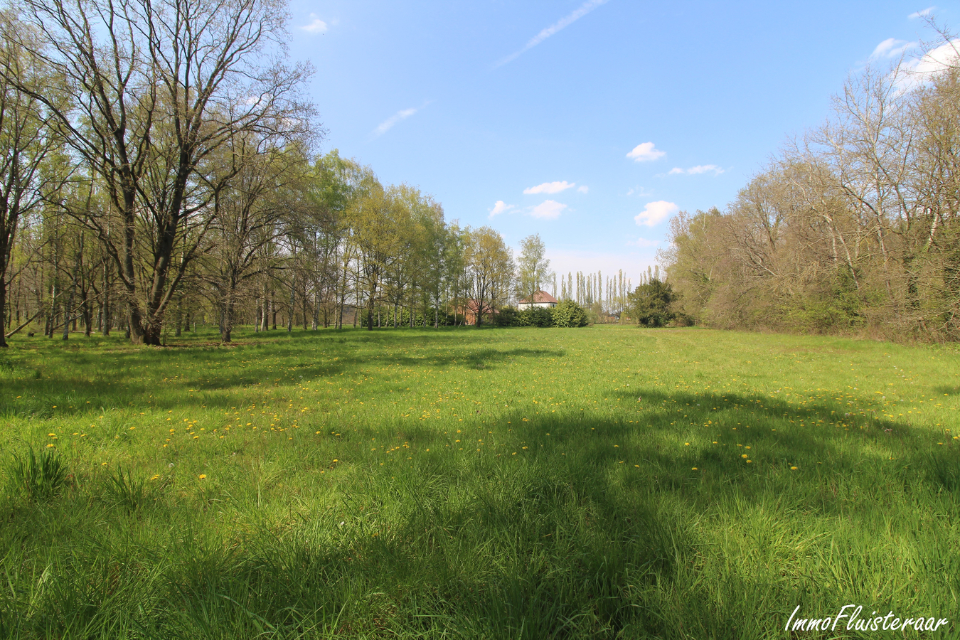 IN OPTIE - Te renoveren woning met stalgebouw/landgebouw en grond op ca. 4,20ha te Aarschot (Vlaams-Brabant) 