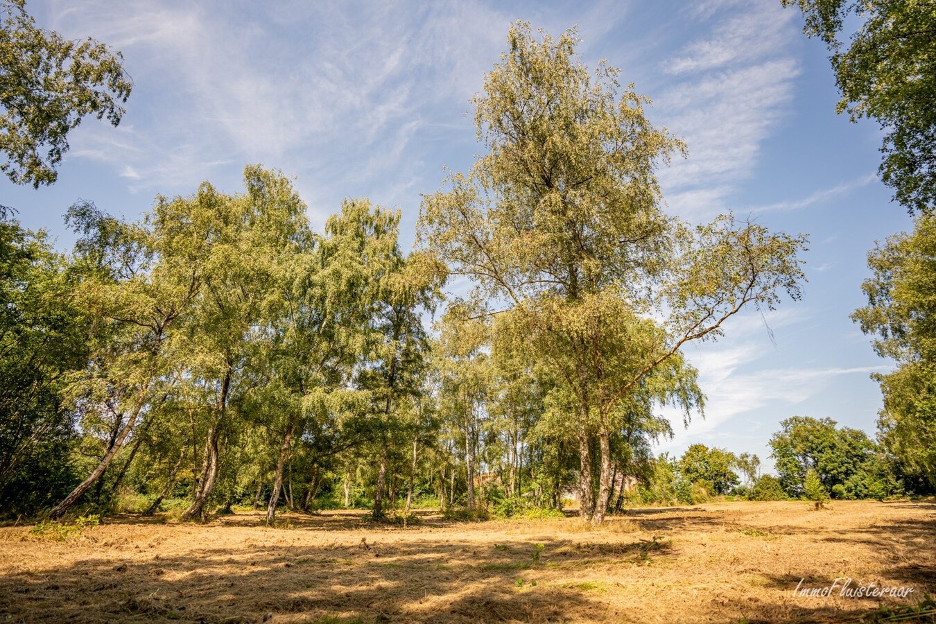 Maison soign&#233;e avec 4 &#233;curies sur environ 75 ares &#224; Tielt-Winge (Brabant flamand) 