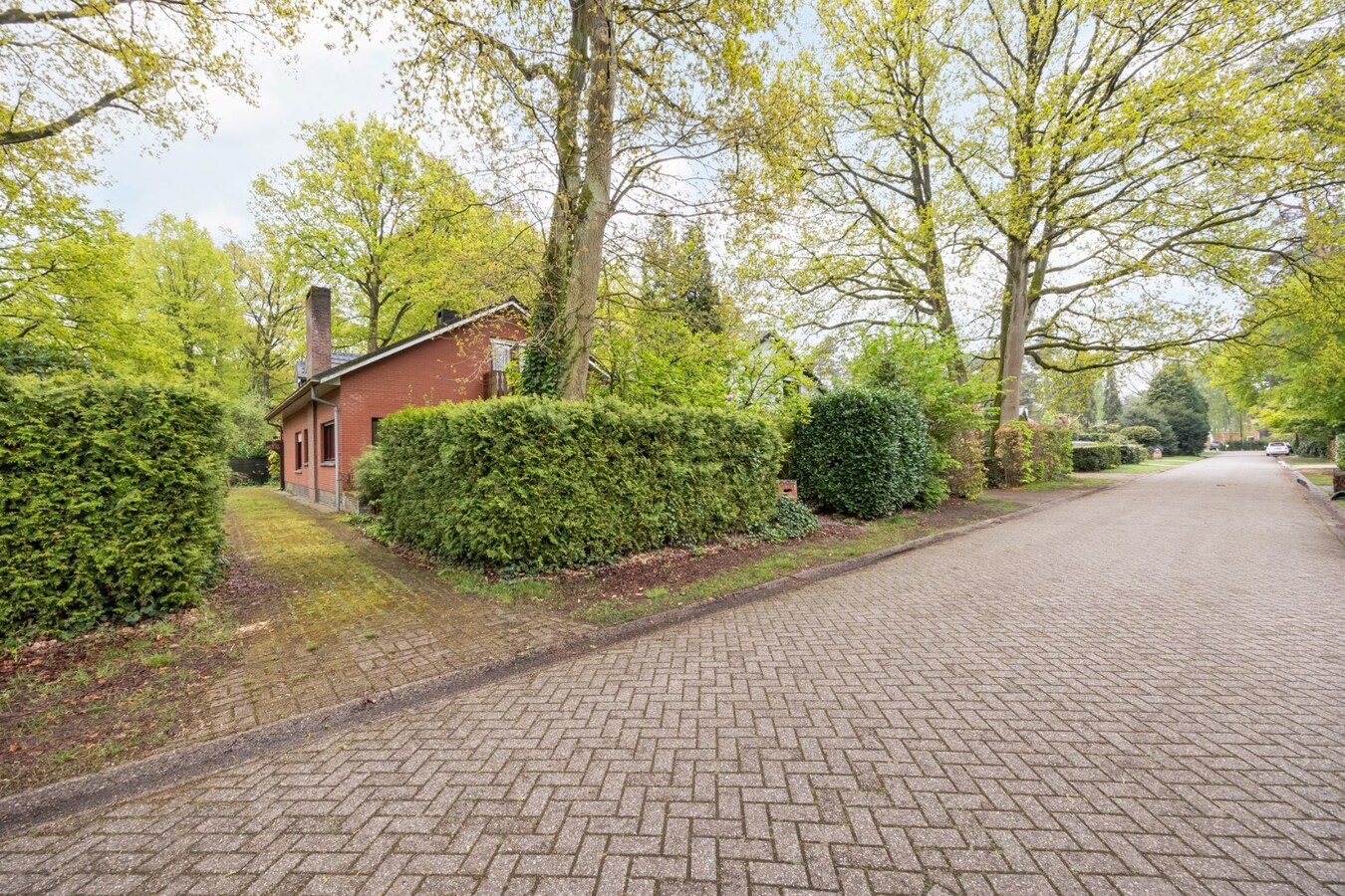 Ruime gezinswoning met 4 slaapkamers in het groene Hertebos 