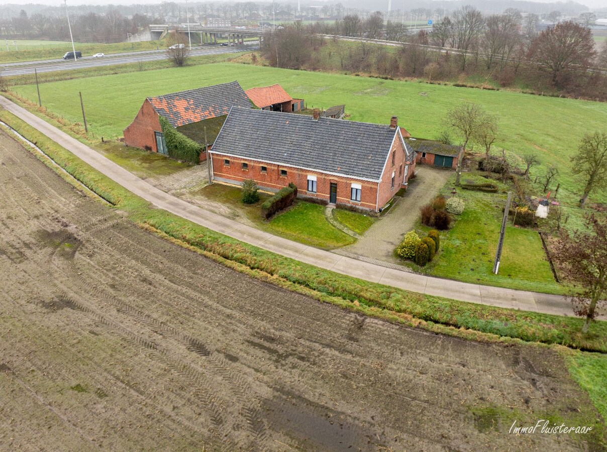 Karakteristieke hoeve met grote schuur op ca. 2 ha te Hoogstraten (Aankoop extra overliggend weiland van ca. 4 ha mogelijk) 