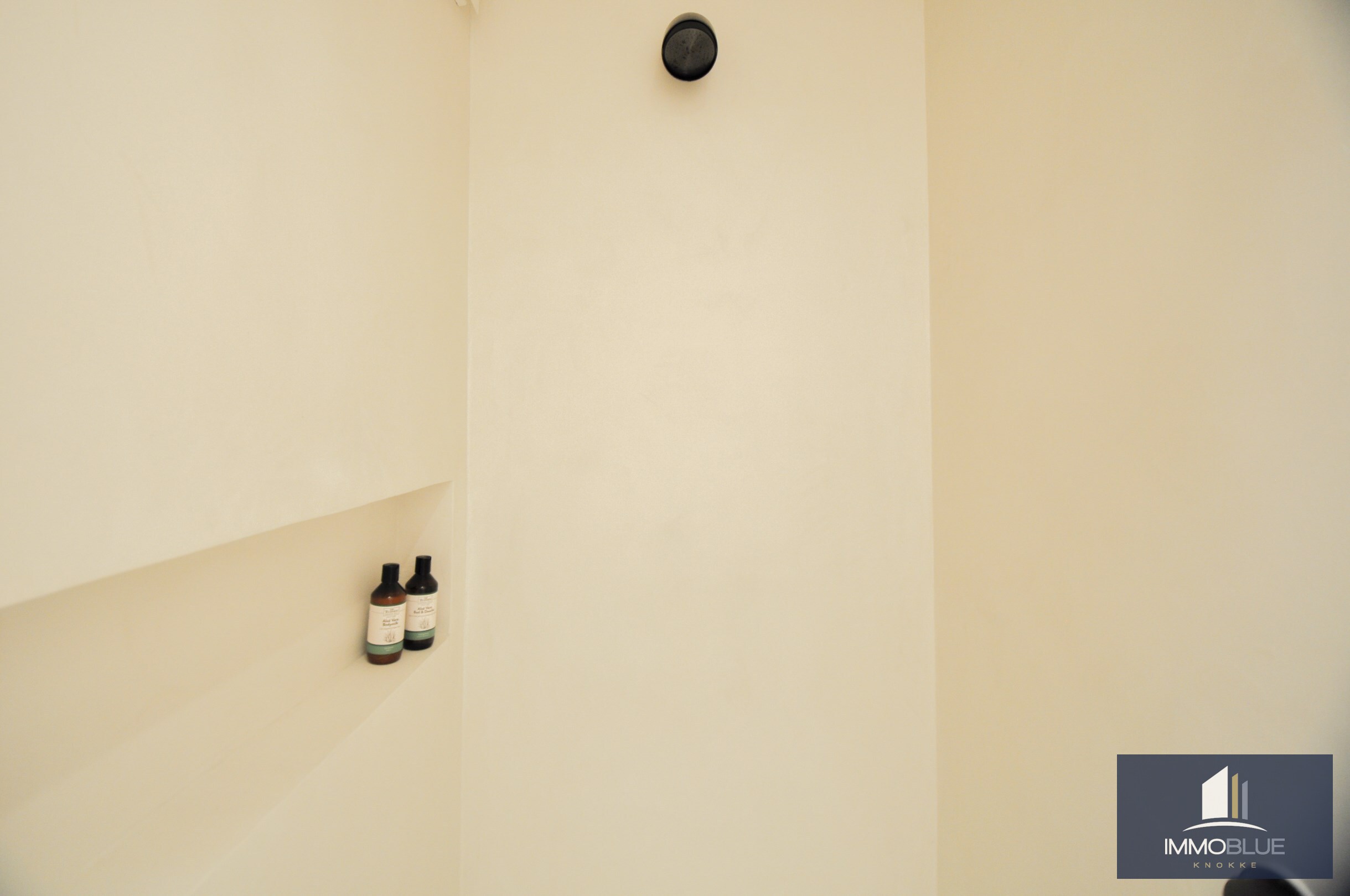 Uitzonderlijk ,tijdloos volledig gerenoveerd appartement met een open zicht . 