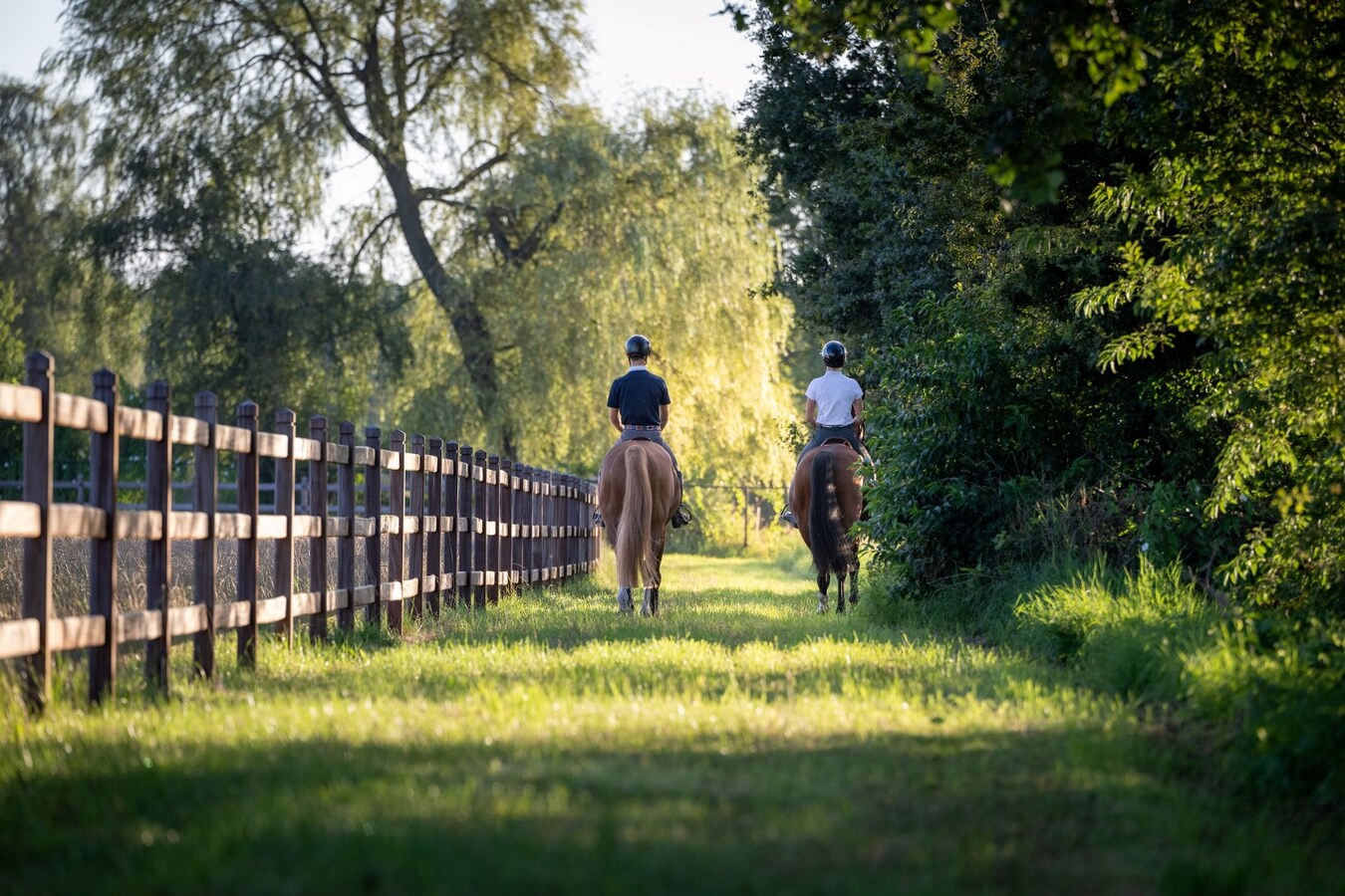Exclusieve professionele hippische accommodatie (nieuwbouw) met villa op ca. 9 ha te Neerpelt 