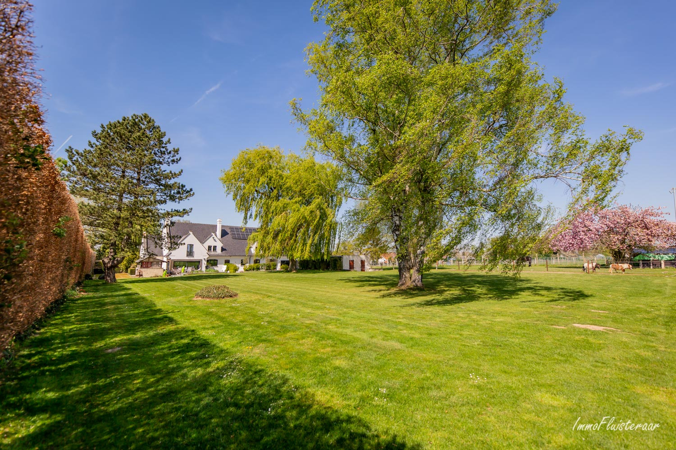 Belle maison de campagne sur env. 1ha &#224; Zittert-Lummen (Jodoigne/Brabant wallon) 