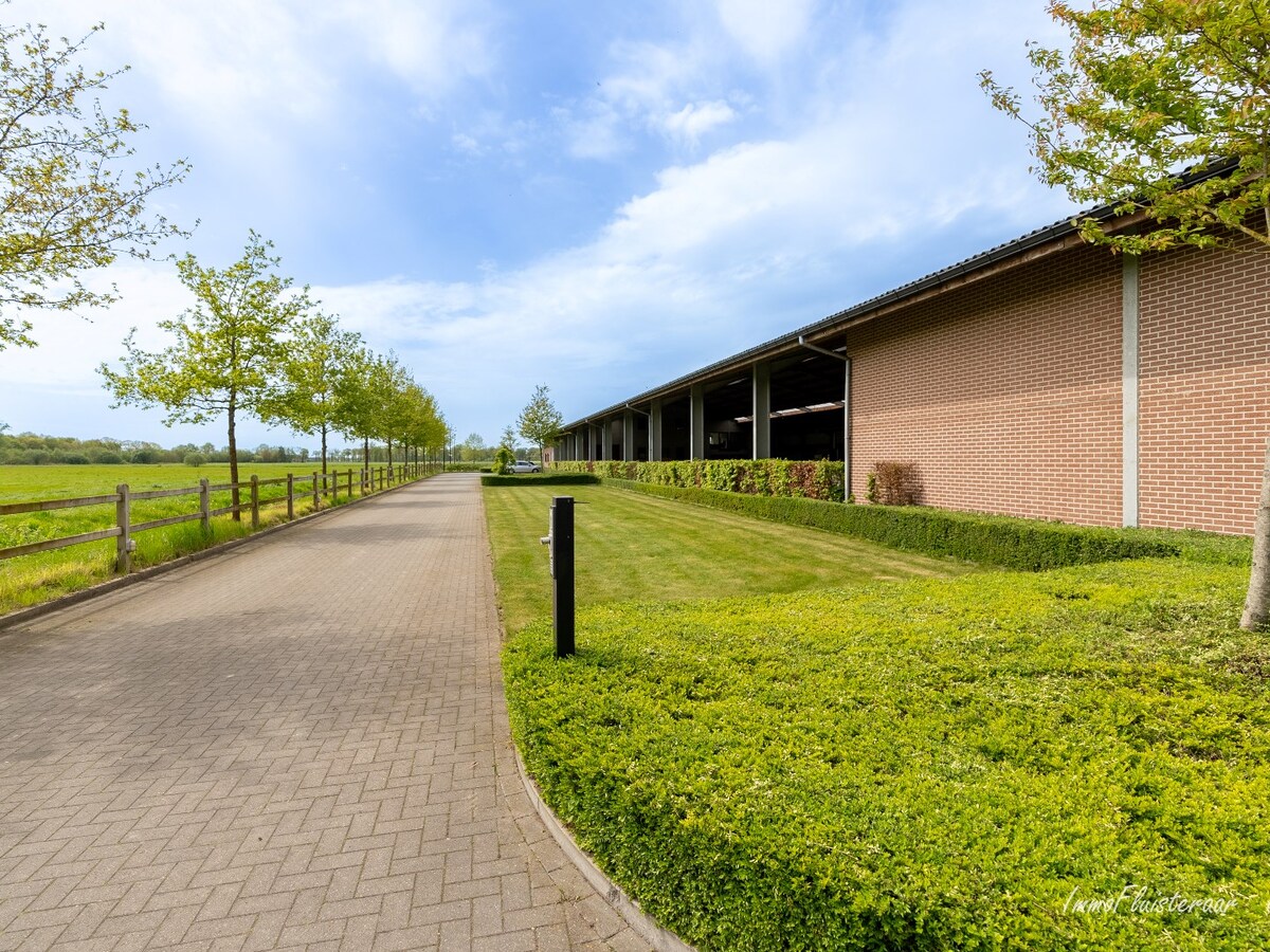 Beautiful equestrian accommodation on appr.  2.4 ha/5,94 acres in Meerle/Hoogstraten 