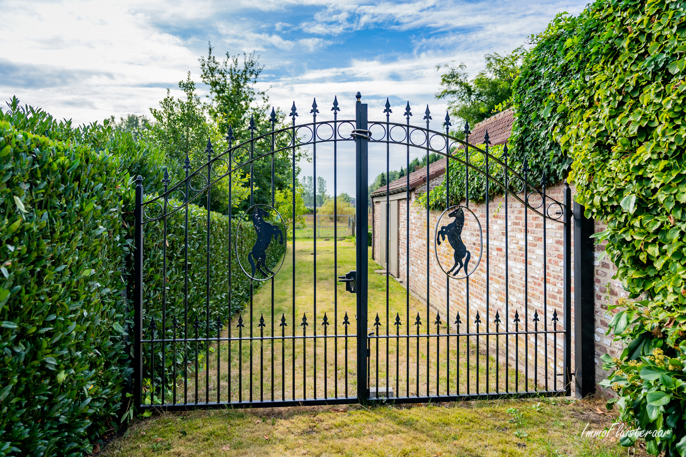 Charmante woning op ca. 2 Ha te Geel 