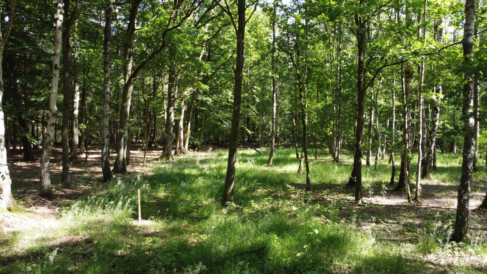 Uitzonderlijk rustig gelegen perceel van 2.500 m&#178; met priv&#233; oprijlaan van ca. 60 m grenzend aan natuurgebied te Brecht. 