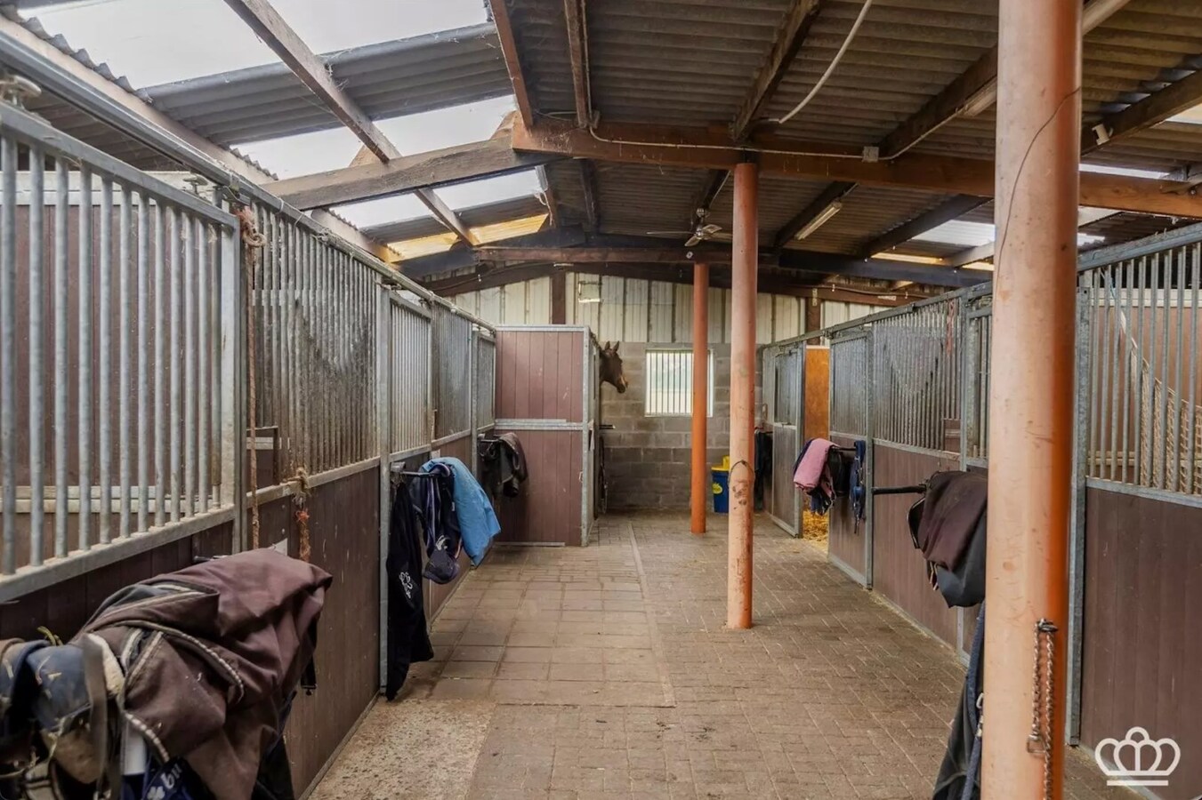 Magnifiquement situ&#233;e, charmante maison avec des installations pour chevaux sur environ 1,8 ha &#224; Essen. 