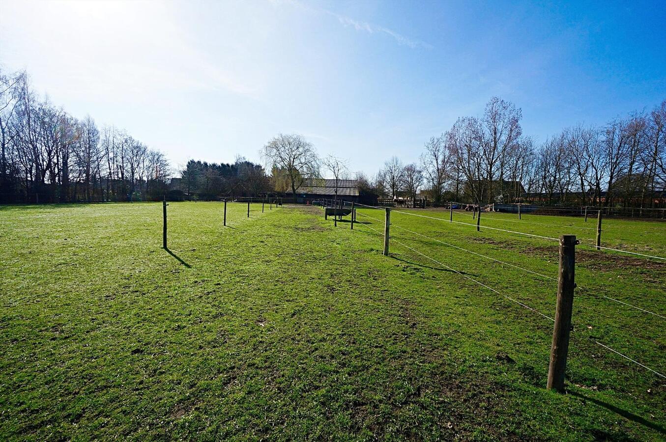 Hoeve met stallen en weide op ca. 1,12 ha te WEELDE 