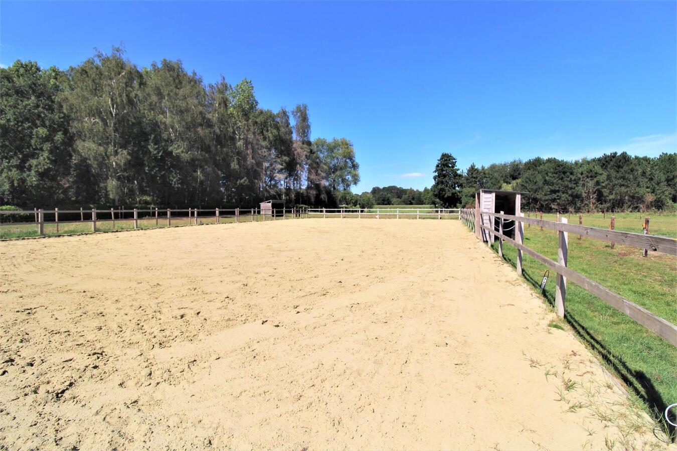 Recente woning met stalgebouw, grote schuur, buitenpiste en weilanden op ca. 1,23ha te Waasmunster (Oost-Vlaanderen) 