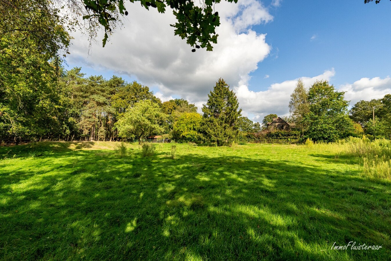 Rustig gelegen landhuis op 9.088 m2 te Balen 