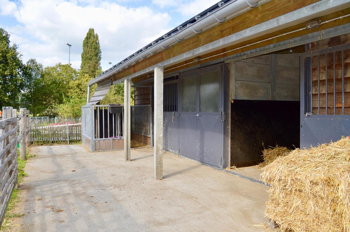 Charmant landhuis met schuur op 15 are (met optie tot aankoop paardenaccommodatie) 