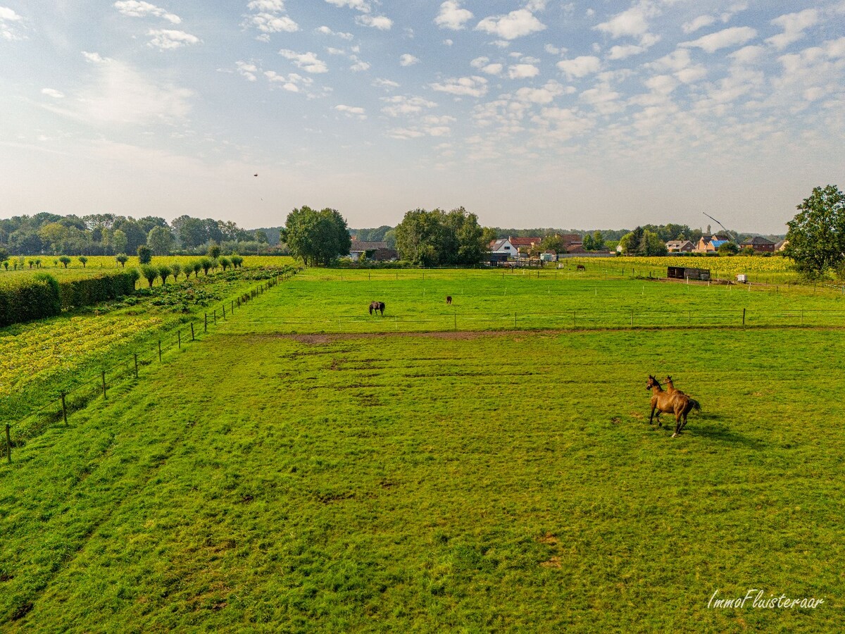 Halfopen woning met stallen, piste en weides op ca. 1,5 ha te Sint-Katelijne-Waver (Optioneel bij te kopen weide van ca. 1 ha) 