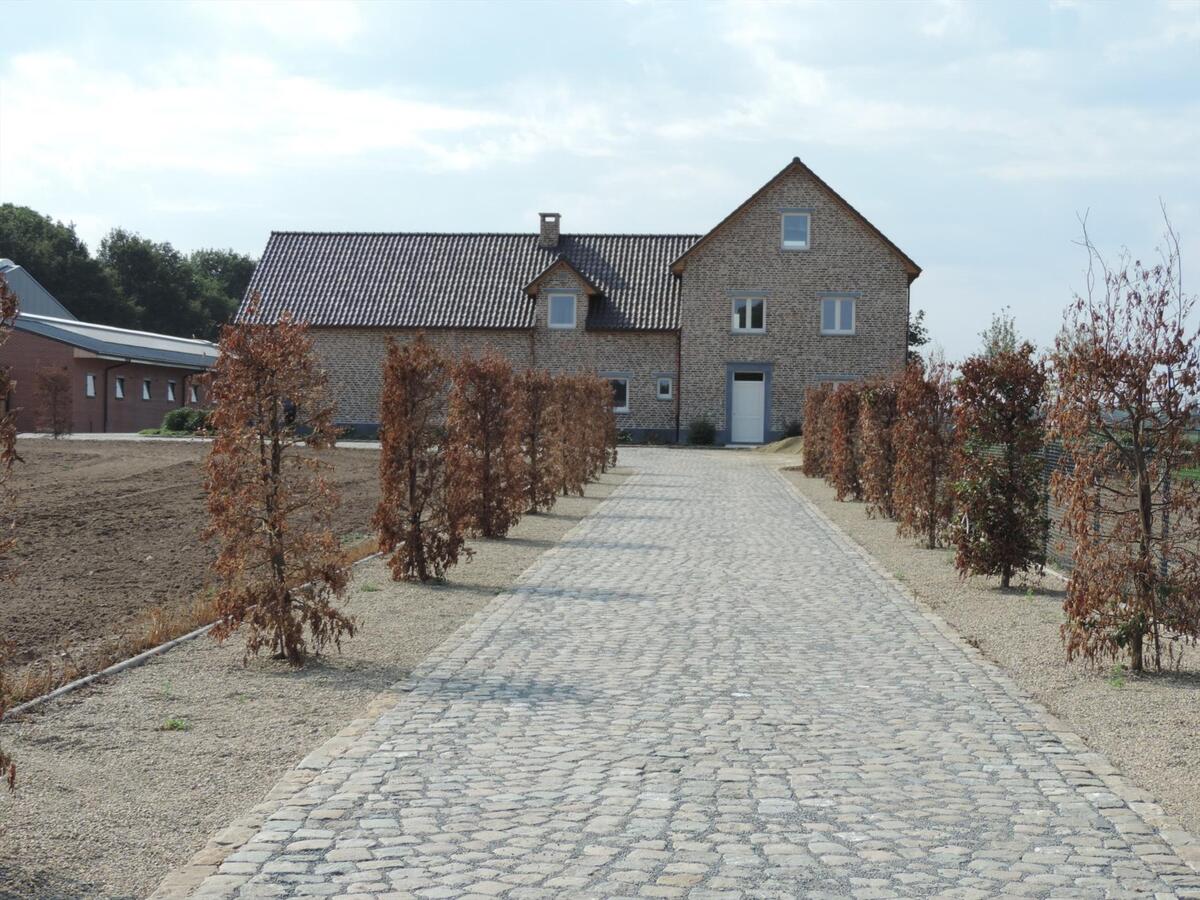 Ferme vendu À Kinrooi