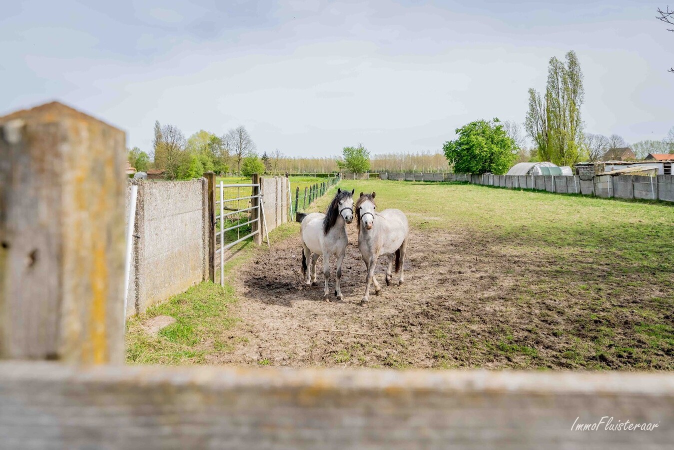 Maison &#224; r&#233;nover avec plusieurs d&#233;pendances et un pr&#233; sur env. 25 a &#224; Zoutleeuw 