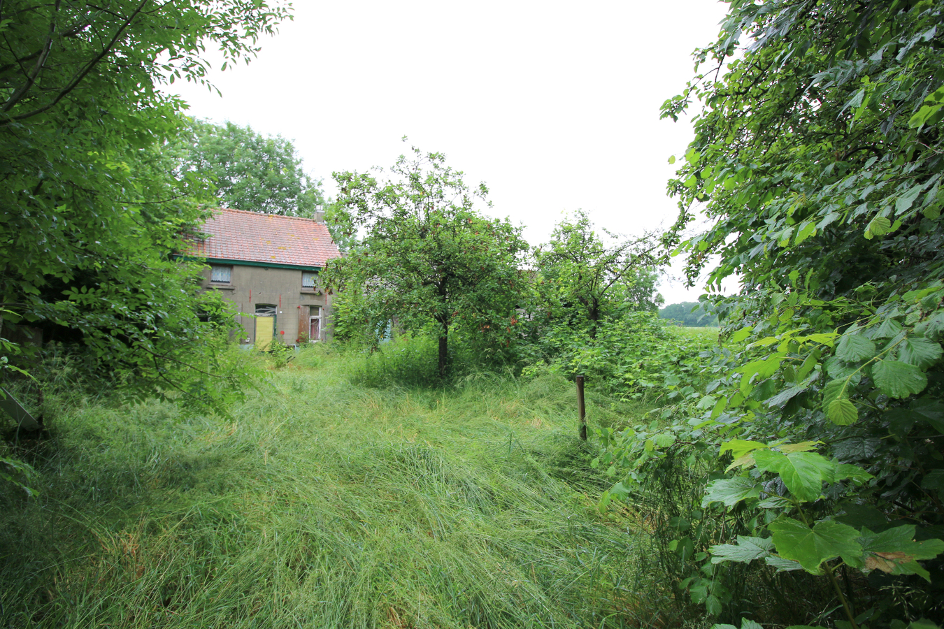 Te slopen woning op uniek stuk grond! 