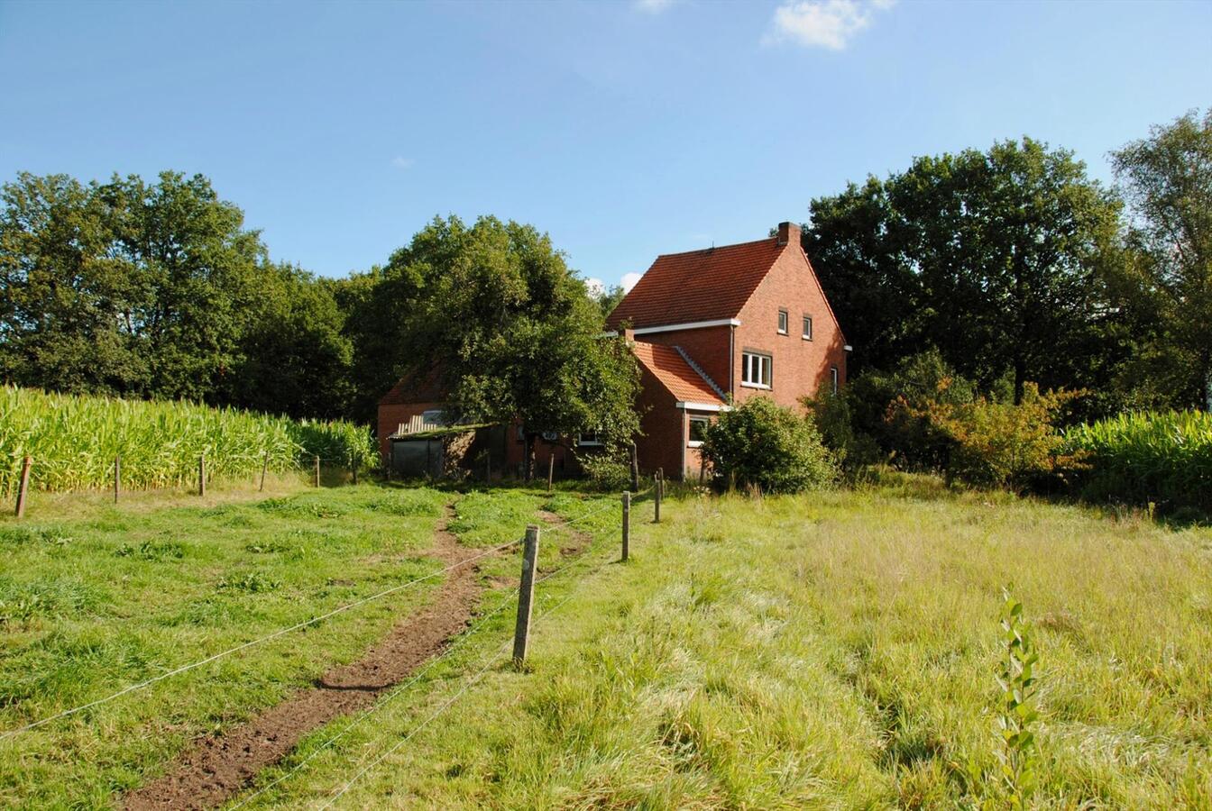 IN OPTIE: Te renoveren boerderij op ca. 4,1ha te Geel (Antwerpen) 