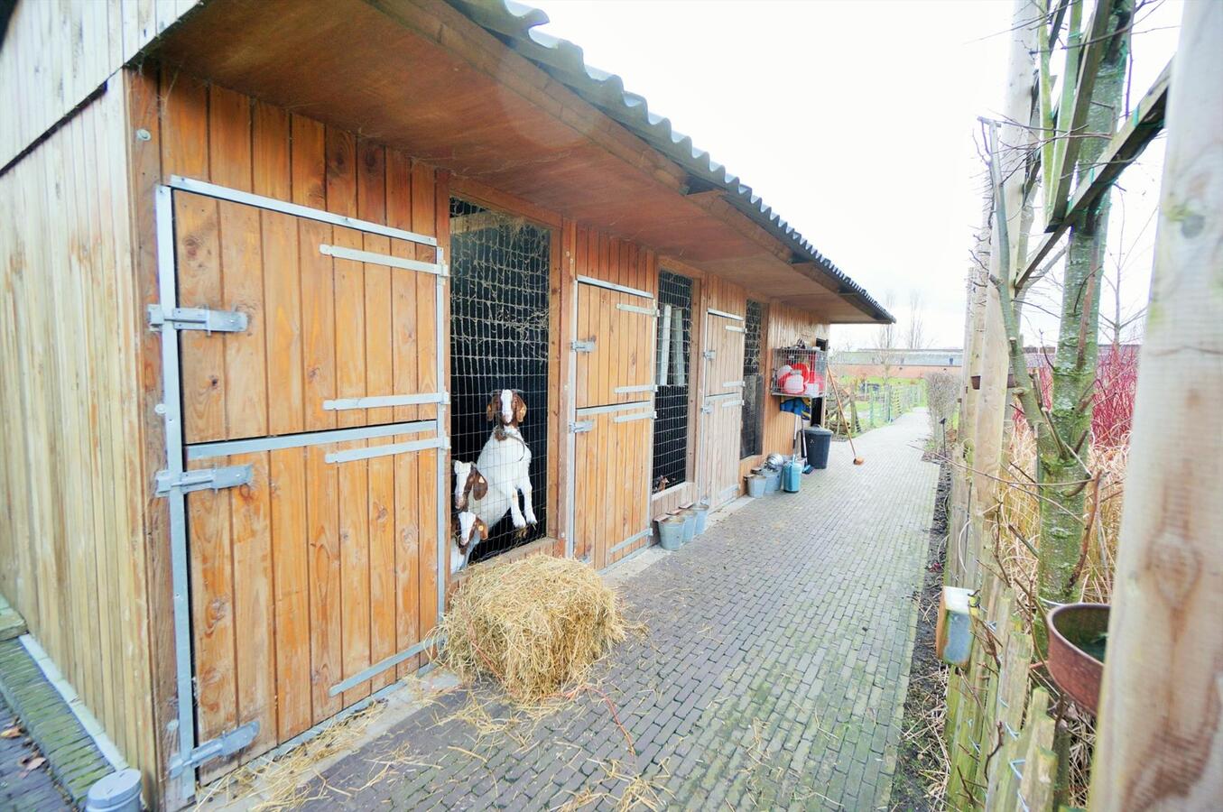 Charmante villahoeve met ingericht bijgebouw op ca. 80 are  te Wuustwezel 