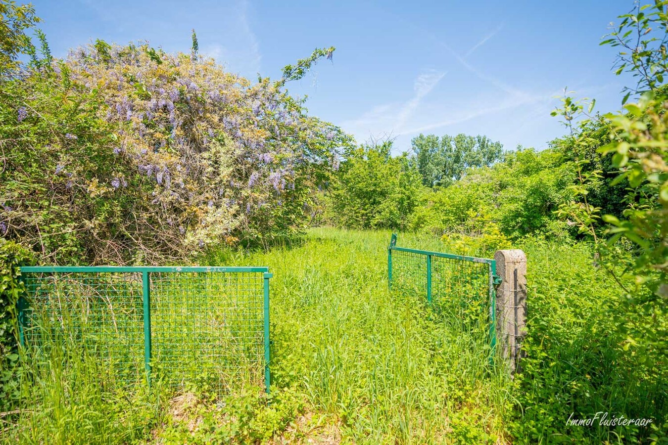 Maison calme et situ&#233;e &#224; la campagne avec d&#233;pendances sur environ 1,28 ha &#224; Bekkevoort (Brabant flamand). 