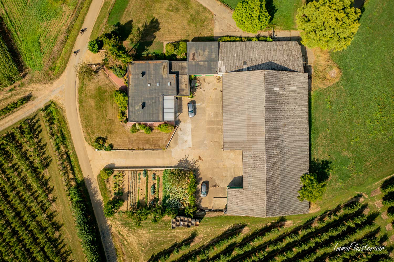 Ruim perceel met groot stalgebouw en te renoveren woning midden in het groen op ca. 8 ha te Halen 