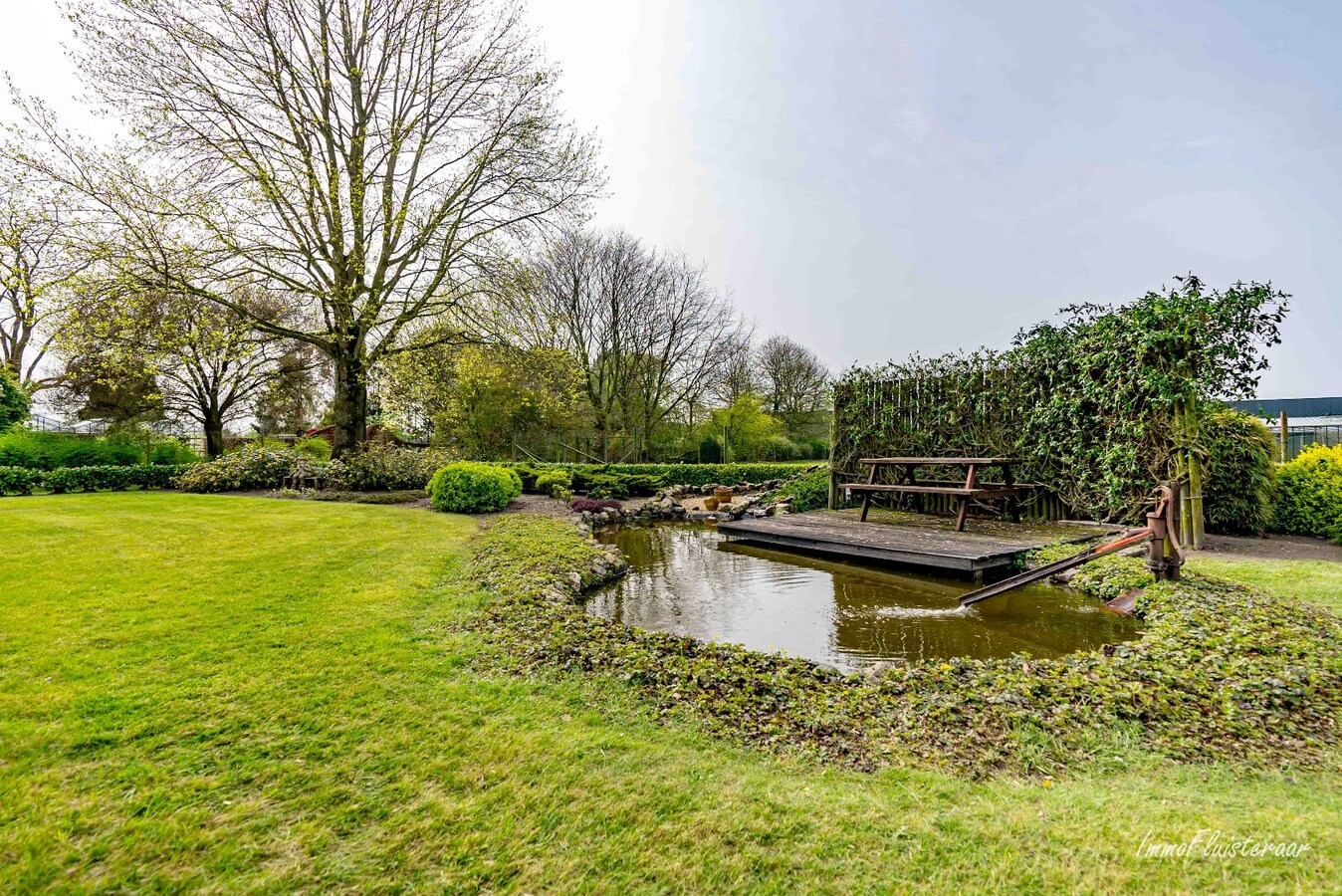Spacious house with meadows and conservatory on approximately 1.2 hectares in Hoogstraten. 